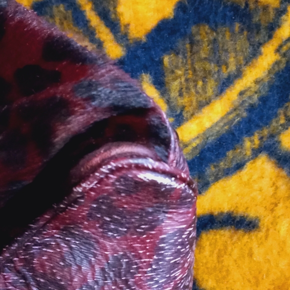 Jenrigo Italian Handbag - Picture 11 of 13